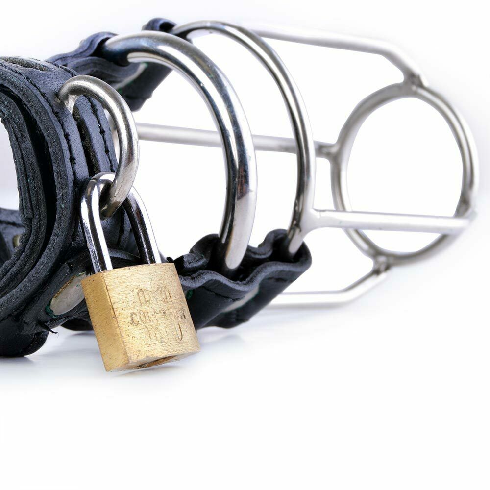 Black Leather Stallion Guard Cage 1 RING - Stainless Steel - Black Leather Stallion Guard Cage 1 RING