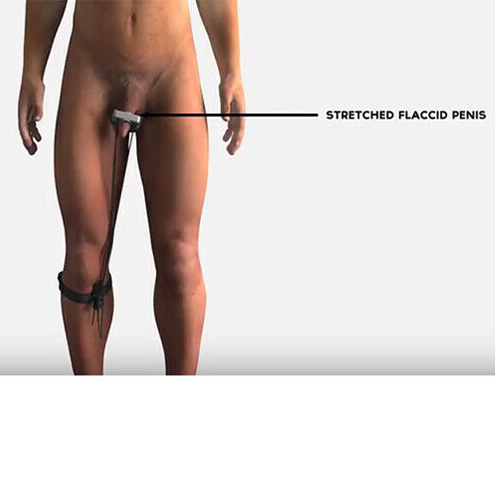 Grow Max Penis Stretcher Extender - Grow-Max Enlargement system is our new and - Grow Max Penis Stretcher Extender